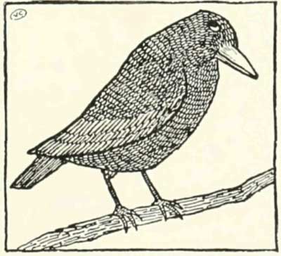 I'll fly into the village