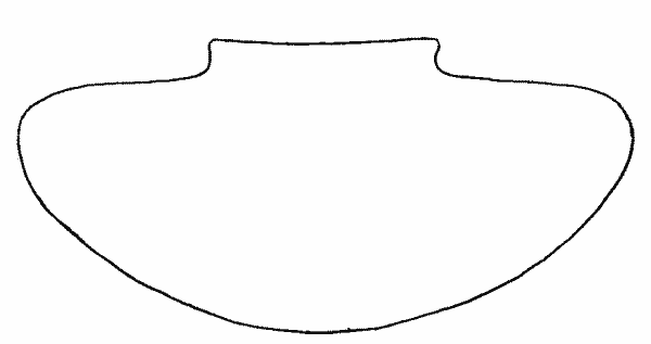 Fig. 270—Outline of plate CXXXV, b Fig. 270—Outline of plate CXXXV, b