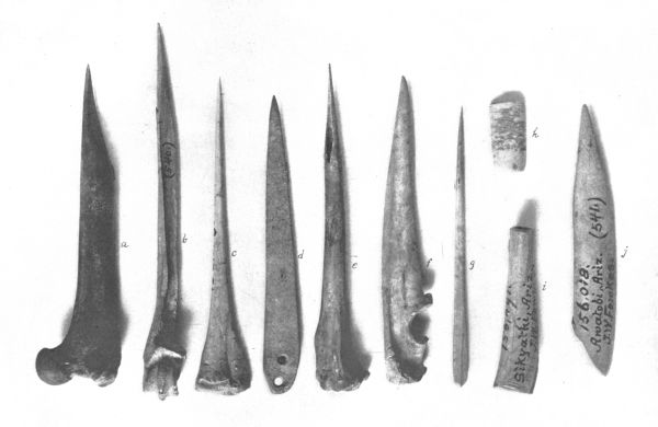 PL. CXIV— BONE IMPLEMENTS FROM AWATOBI AND SIKYATKI PL. CXIV— BONE IMPLEMENTS FROM AWATOBI AND SIKYATKI