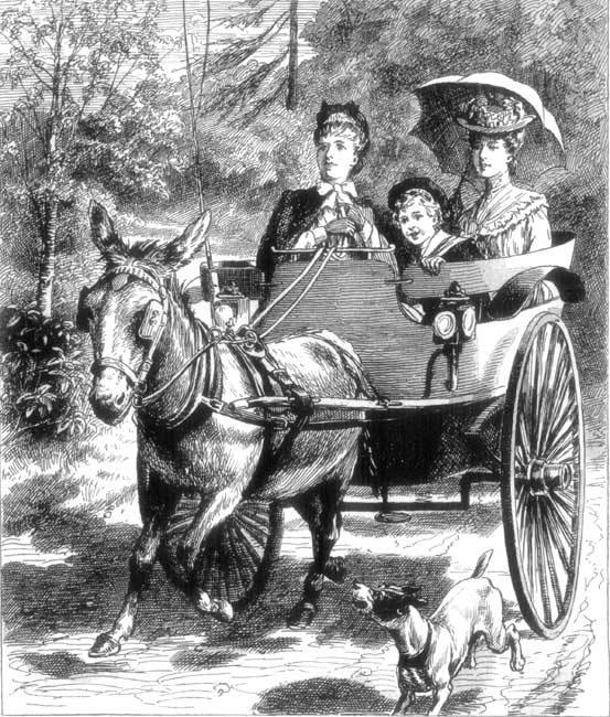 "All went well at first."