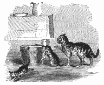 A lesson in good manners A lesson in good manners