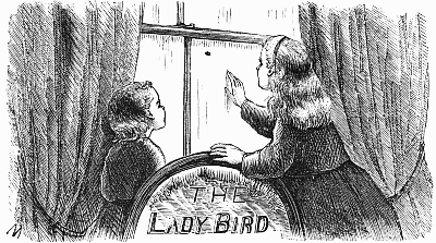 The Lady-Bird The Lady-Bird