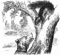 Bunny up a tree Bunny up a tree