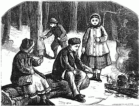 In the woods In the woods