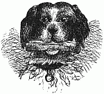 Snip with the paper Snip with the paper