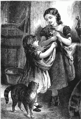 NAMING THE KITTEN. NAMING THE KITTEN.