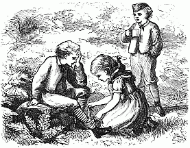 You have not hurt your leg You have not hurt your leg