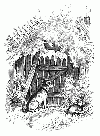 A Shut-out One A Shut-out One