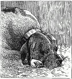 Dreadfully cheated Dreadfully cheated