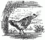 Up on the window-sill Up on the window-sill