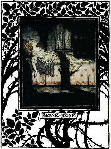 BRIAR ROSE BRIAR ROSE