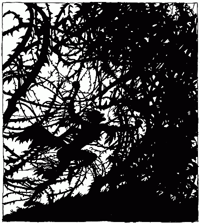 Fighting the thorns Fighting the thorns