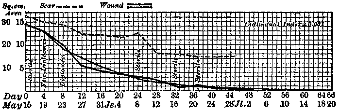 Progress of healing of a surface wound of the right leg, patient's age 31 years. A graph, showing the progress of healing of a surface wound of the right leg of a 31-year-old patient. It shows that as time passes, the wounded area decreases.