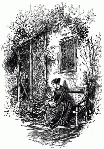 THE COTTAGE IN THE COUNTRY. THE COTTAGE IN THE COUNTRY.