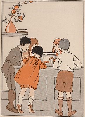 THE GOLDFISH THE GOLDFISH