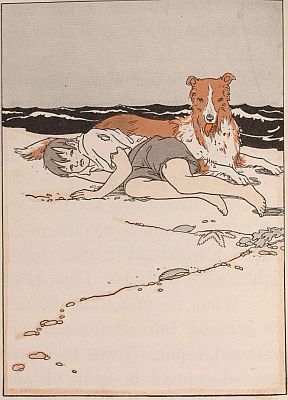 THE RESCUE THE RESCUE