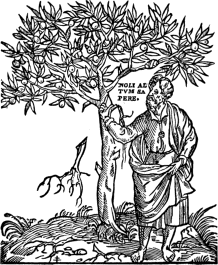 NOLI ALTVM SAPERE. NOLI ALTVM SAPERE.