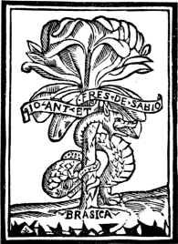 IO ANT ET FRES DE SABIO BRASICA IO ANT ET FRES DE SABIO BRASICA