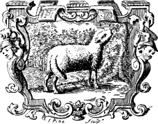 I Pine Sculp^t I Pine Sculp^t