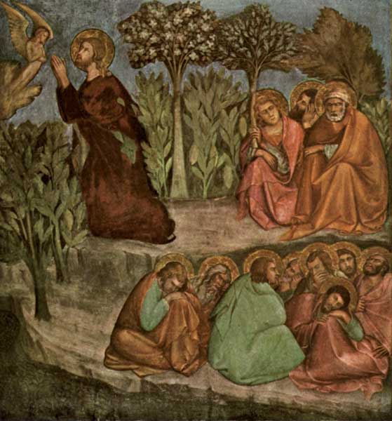 BARNA: THE AGONY IN THE GARDEN