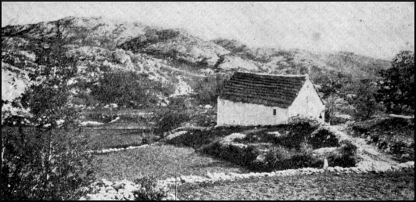 Illustration image13