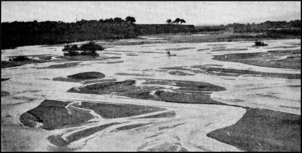 Illustration image16