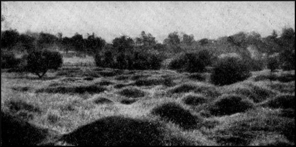 Illustration image19