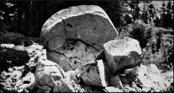 Illustration image24