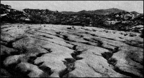 Illustration image27