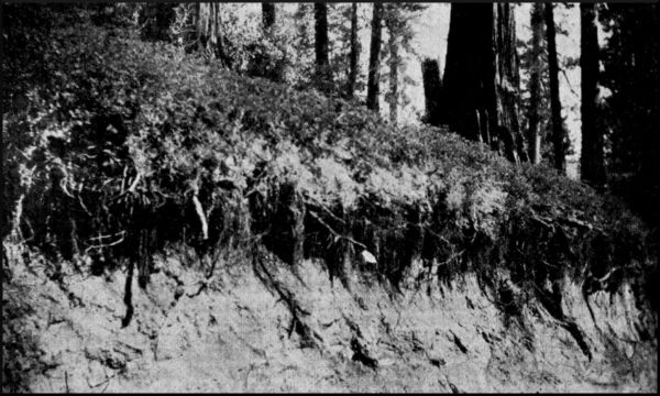 Illustration image28