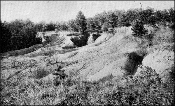 Illustration image33