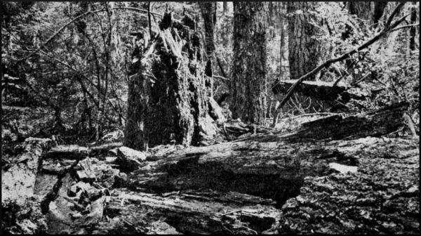 Illustration image36