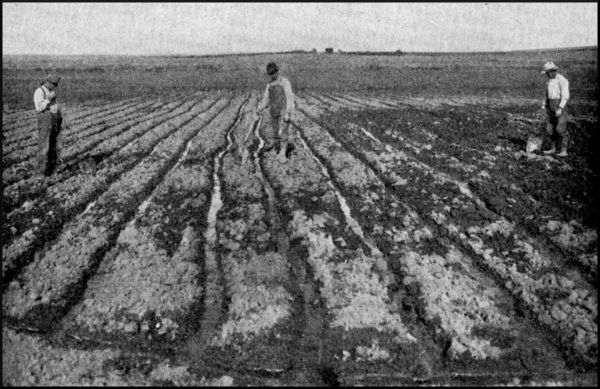 Illustration image38