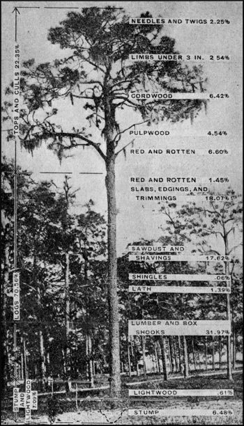 Illustration image41