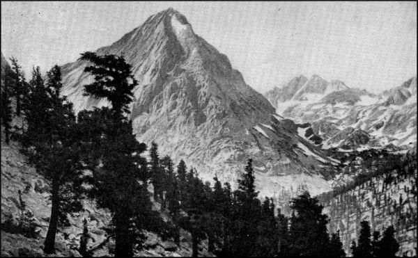 Illustration image44