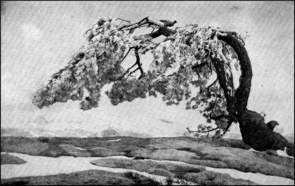 Illustration image47