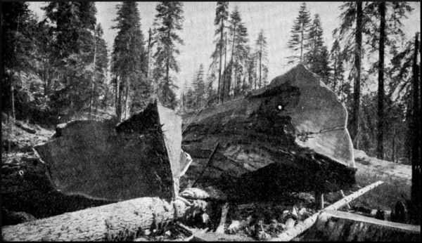 Illustration image50