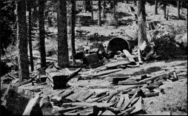 Illustration image51