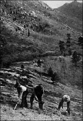 Illustration image57