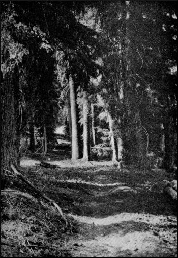 Illustration image61