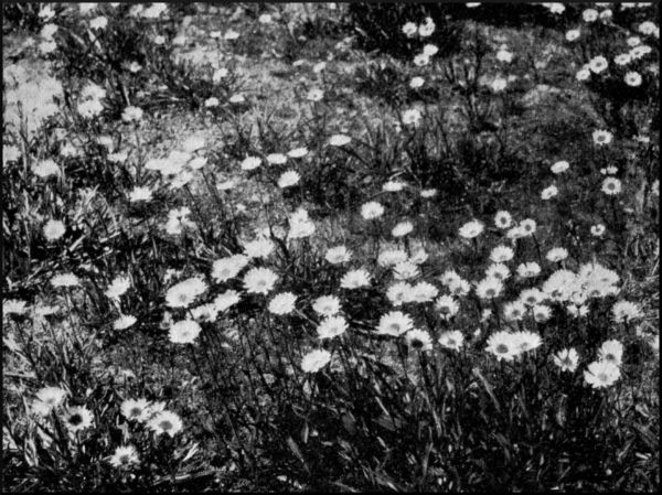 Illustration image63