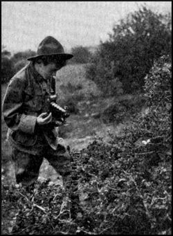 Illustration image69