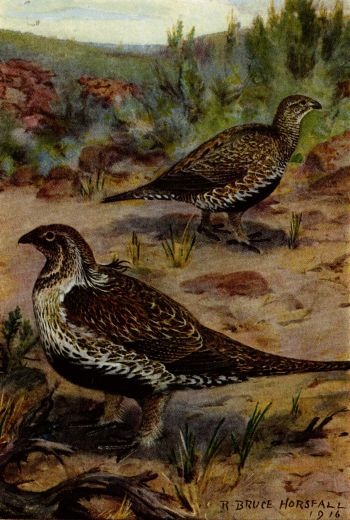 Illustration image75