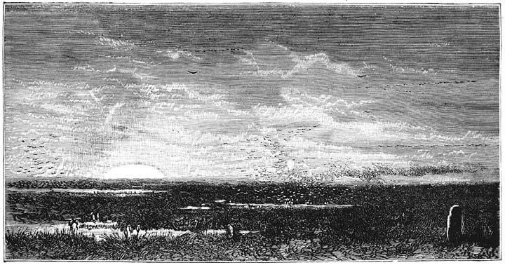 Eene steppe in de Oekraine bij zonsopgang.