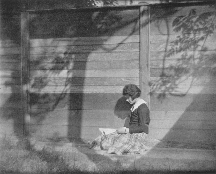 THE BACK FENCEBy C. R. Herzler, New York City THE BACK FENCE, By C. R. Herzler, New York City