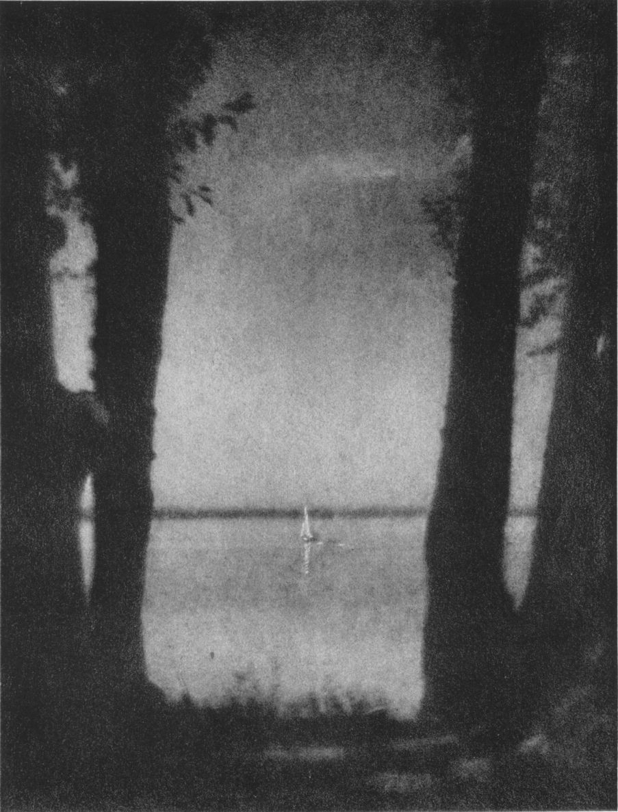 THE DISTANT SAILBy William Gordon Shields, New York City THE DISTANT SAIL, By William Gordon Shields, New York City