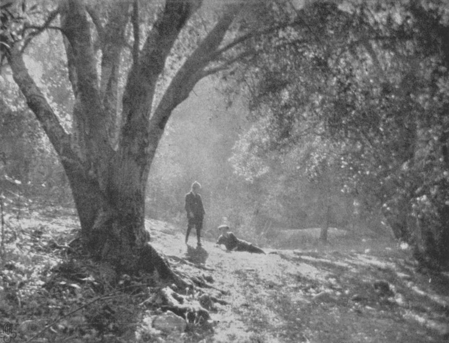 MORNING GLORYBy Otis Williams, Los Angeles, Calif. MORNING GLORY, By Otis Williams, Los Angeles, Calif.