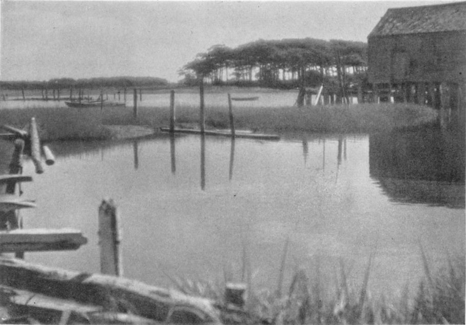 TIDEWATERBy Amelia H. McLean, Bronxville, N. Y. TIDEWATER, By Amelia H. McLean, Bronxville, N. Y.