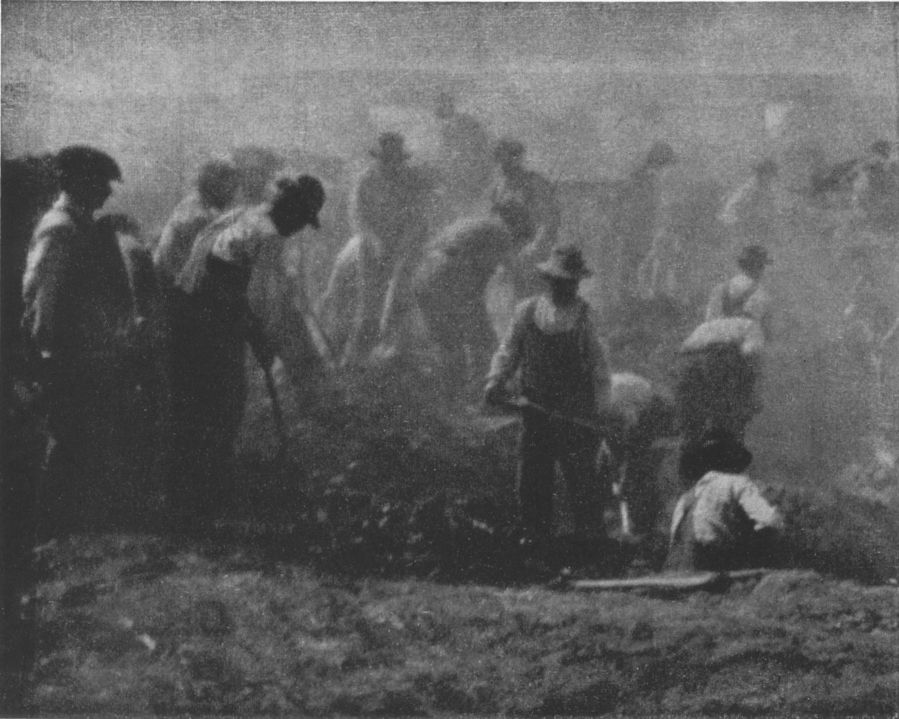 THE TOILERSBy Edward Ostrom, Jr., Brooklyn, N. Y. THE TOILERS, By Edward Ostrom, Jr., Brooklyn, N. Y.