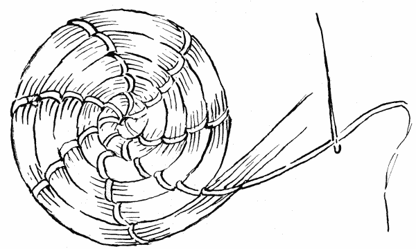 BEGINNING OF BASKET TRAY BEGINNING OF BASKET TRAY